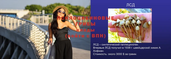 таблы Алексеевка