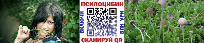 Псилоцибиновые грибы мухоморы  где можно купить наркотик  мега ТОР  Пустошка 